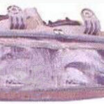 Права фара Nissan Primera 1996-1999 P11/W11 (TYC) GS 5009 D302