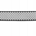 Решітка в бампер переднього DODGE CHARGER 2015+ FP 2410 H1-P